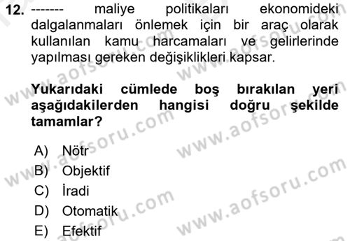 Maliye Politikası Dersi 2018 - 2019 Yılı (Vize) Ara Sınav Soruları 12. Soru