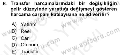 Maliye Politikası Dersi 2018 - 2019 Yılı (Vize) Ara Sınav Soruları 6. Soru