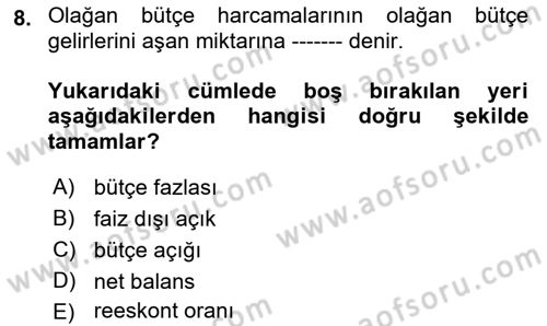 Maliye Politikası Dersi 2018 - 2019 Yılı (Final) Dönem Sonu Sınavı 8. Soru