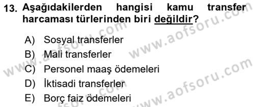 Maliye Politikası Dersi 2020 - 2021 Yılı Yaz Okulu Sınavı 13. Soru