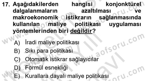 Maliye Politikası Dersi 2021 - 2022 Yılı (Vize) Ara Sınav Soruları 17. Soru