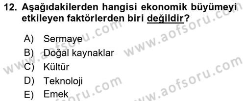 Maliye Politikası Dersi 2022 - 2023 Yılı Yaz Okulu Sınavı 12. Soru