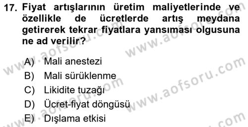 Maliye Politikası Dersi 2022 - 2023 Yılı Yaz Okulu Sınav Soruları 17. Soru
