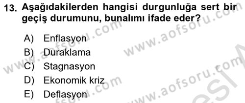 Maliye Politikası Dersi 2023 - 2024 Yılı Yaz Okulu Sınav Soruları 13. Soru