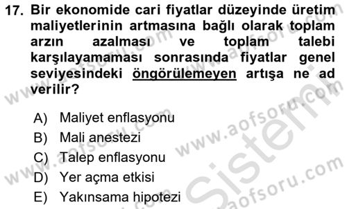 Maliye Politikası Dersi 2023 - 2024 Yılı Yaz Okulu Sınav Soruları 17. Soru