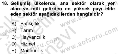 Maliye Politikası Dersi 2023 - 2024 Yılı Yaz Okulu Sınav Soruları 18. Soru