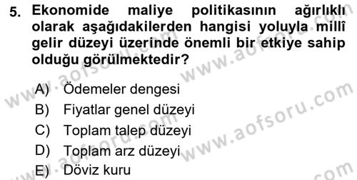 Maliye Politikası Dersi 2023 - 2024 Yılı Yaz Okulu Sınav Soruları 5. Soru
