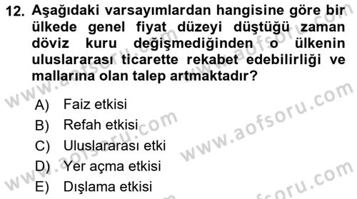 Maliye Politikası Dersi 2024 - 2025 Yılı (Vize) Ara Sınav Soruları 12. Soru
