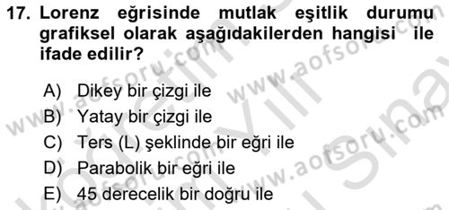 Maliye Politikası Dersi 2024 - 2025 Yılı (Final) Dönem Sonu Sınav Soruları 17. Soru