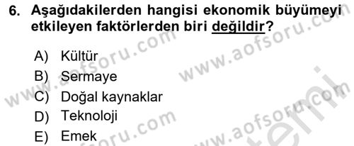 Maliye Politikası Dersi 2024 - 2025 Yılı (Final) Dönem Sonu Sınav Soruları 6. Soru