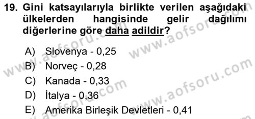Maliye Politikası Dersi 2024 - 2025 Yılı Yaz Okulu Sınav Soruları 19. Soru