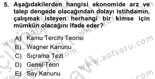 Maliye Politikası Dersi 2024 - 2025 Yılı Yaz Okulu Sınav Soruları 5. Soru