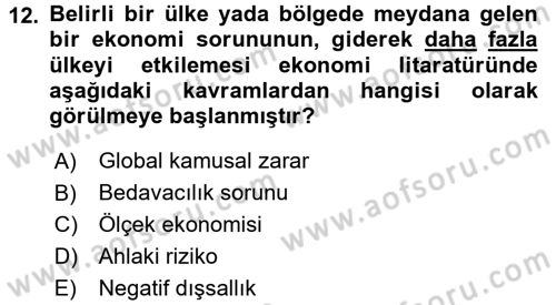 Maliye Politikası 1 Dersi 2016 - 2017 Yılı (Vize) Ara Sınav Soruları 12. Soru