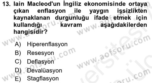 Maliye Politikası 1 Dersi 2017 - 2018 Yılı 3 Ders Sınav Soruları 13. Soru