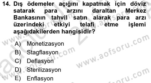 Maliye Politikası 1 Dersi 2017 - 2018 Yılı (Vize) Ara Sınav Soruları 14. Soru