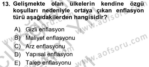 Maliye Politikası 1 Dersi 2018 - 2019 Yılı Yaz Okulu Sınav Soruları 13. Soru