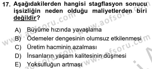 Maliye Politikası 1 Dersi 2018 - 2019 Yılı Yaz Okulu Sınav Soruları 17. Soru