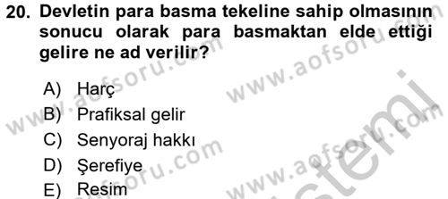 Maliye Politikası 1 Dersi 2018 - 2019 Yılı Yaz Okulu Sınav Soruları 20. Soru