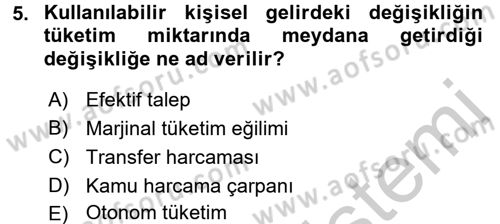 Maliye Politikası 1 Dersi 2018 - 2019 Yılı Yaz Okulu Sınav Soruları 5. Soru