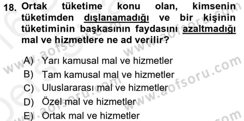 Maliye Politikası 2 Dersi 2015 - 2016 Yılı Tek Ders Sınav Soruları 18. Soru