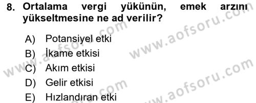Maliye Politikası 2 Dersi 2016 - 2017 Yılı (Vize) Ara Sınav Soruları 8. Soru