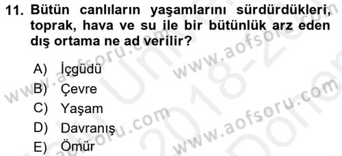 Maliye Politikası 2 Dersi 2018 - 2019 Yılı (Final) Dönem Sonu Sınav Soruları 11. Soru