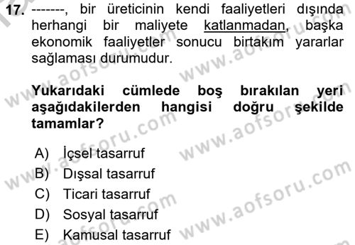 Maliye Politikası 2 Dersi 2018 - 2019 Yılı Yaz Okulu Sınav Soruları 17. Soru
