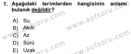 Sembolik Mantık Dersi 2024 - 2025 Yılı Yaz Okulu Sınav Soruları 1. Soru