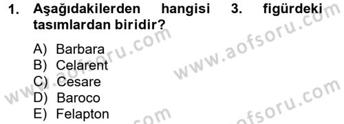 Mantığın Gelişimi Dersi 2012 - 2013 Yılı (Final) Dönem Sonu Sınav Soruları 1. Soru