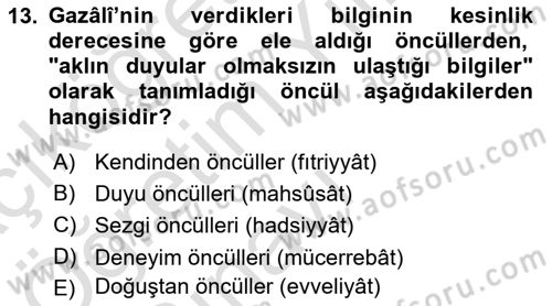 Mantığın Gelişimi Dersi 2022 - 2023 Yılı Yaz Okulu Sınav Soruları 13. Soru