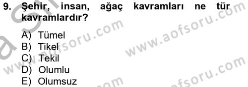 Klasik Mantık Dersi 2012 - 2013 Yılı (Vize) Ara Sınav Soruları 9. Soru