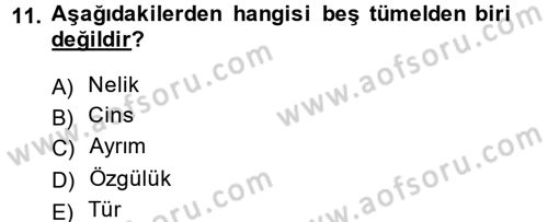 Klasik Mantık Dersi 2013 - 2014 Yılı (Vize) Ara Sınav Soruları 11. Soru