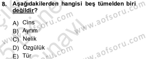 Klasik Mantık Dersi 2014 - 2015 Yılı Tek Ders Sınav Soruları 8. Soru