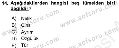 Klasik Mantık Dersi 2015 - 2016 Yılı (Vize) Ara Sınav Soruları 14. Soru