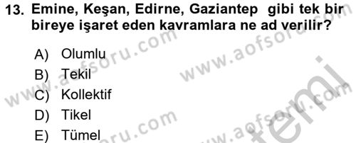Klasik Mantık Dersi 2016 - 2017 Yılı (Vize) Ara Sınav Soruları 13. Soru