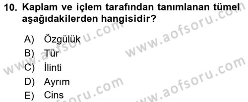 Klasik Mantık Dersi 2023 - 2024 Yılı (Vize) Ara Sınav Soruları 10. Soru