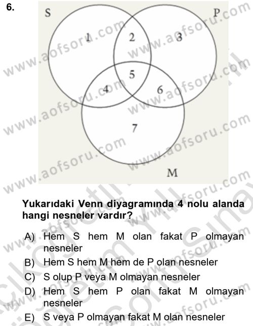 Klasik Mantık Dersi 2023 - 2024 Yılı (Final) Dönem Sonu Sınav Soruları 6. Soru