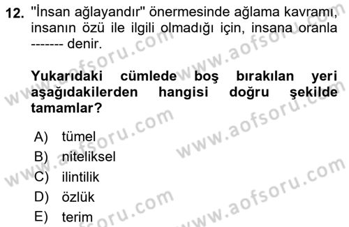 Klasik Mantık Dersi 2024 - 2025 Yılı (Vize) Ara Sınav Soruları 12. Soru