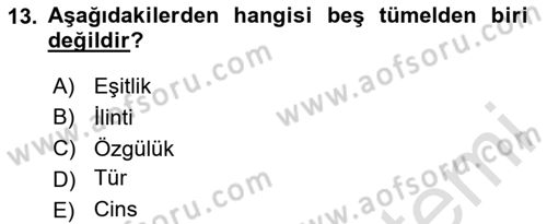 Klasik Mantık Dersi 2024 - 2025 Yılı (Vize) Ara Sınav Soruları 13. Soru