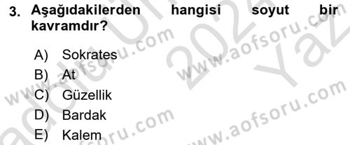 Klasik Mantık Dersi 2024 - 2025 Yılı Yaz Okulu Sınav Soruları 3. Soru