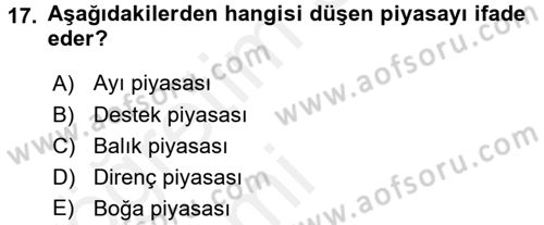 Menkul Kıymet Yatırımları Dersi 2015 - 2016 Yılı Tek Ders Sınav Soruları 17. Soru