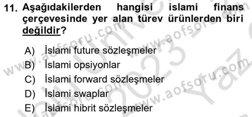 Menkul Kıymet Yatırımları Dersi 2023 - 2024 Yılı Yaz Okulu Sınav Soruları 11. Soru