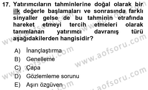 Menkul Kıymet Yatırımları Dersi 2024 - 2025 Yılı (Vize) Ara Sınav Soruları 17. Soru