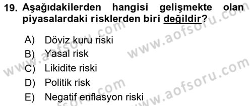 Menkul Kıymet Yatırımları Dersi 2024 - 2025 Yılı (Final) Dönem Sonu Sınav Soruları 19. Soru