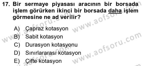 Menkul Kıymet Yatırımları Dersi 2024 - 2025 Yılı Yaz Okulu Sınav Soruları 17. Soru