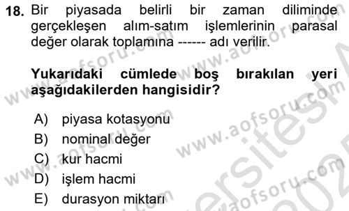 Menkul Kıymet Yatırımları Dersi 2024 - 2025 Yılı Yaz Okulu Sınav Soruları 18. Soru