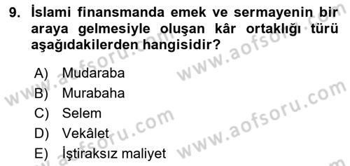 Menkul Kıymet Yatırımları Dersi 2024 - 2025 Yılı Yaz Okulu Sınav Soruları 9. Soru