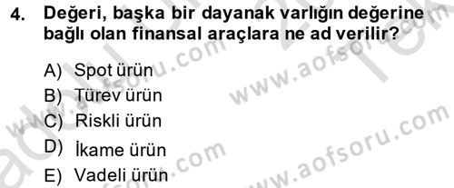Türev Araçlar Dersi 2014 - 2015 Yılı Tek Ders Sınav Soruları 4. Soru