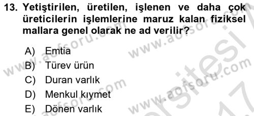 Türev Araçlar Dersi 2016 - 2017 Yılı (Final) Dönem Sonu Sınav Soruları 13. Soru