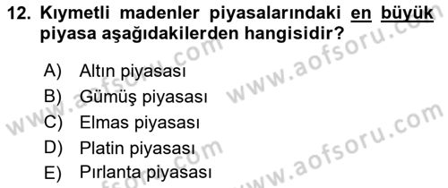 Borsaların Yapısı ve İşleyişi Dersi 2018 - 2019 Yılı Yaz Okulu Sınav Soruları 12. Soru
